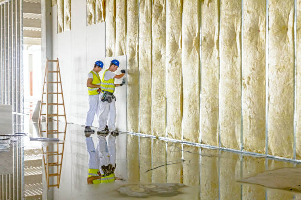 Best Basement Insulation  in Breckinridge Center, KY